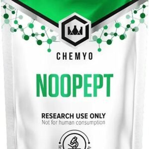 Noopept Powder – 10g